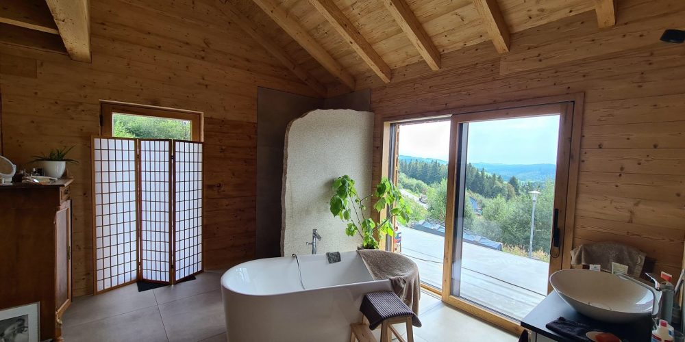 Badausbau-Altholzverkleidung-Granitduschwand